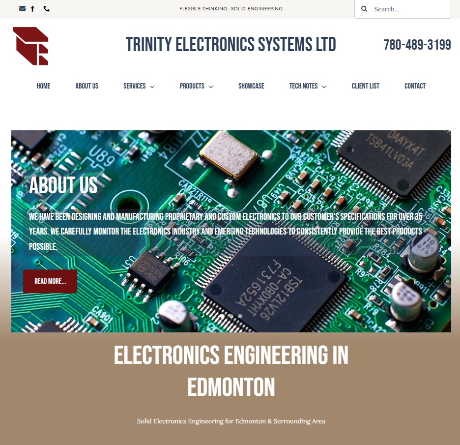 Trinity Electronics Systems Ltd website preview