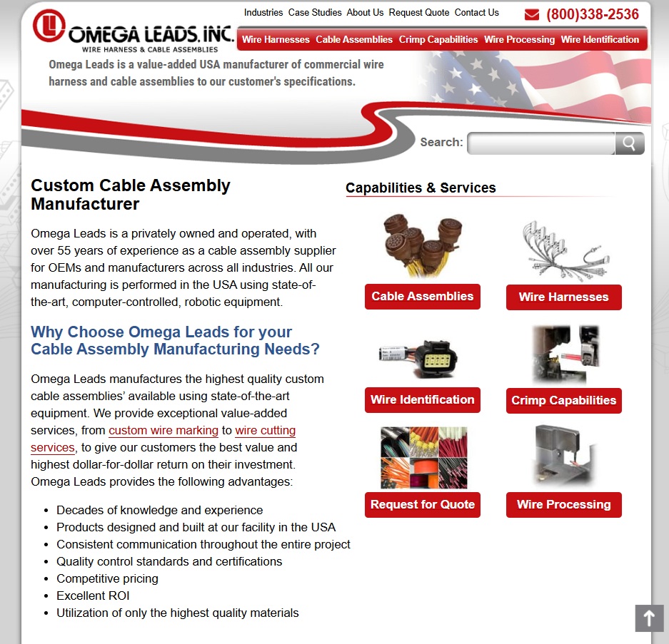 Omega Leads website preview