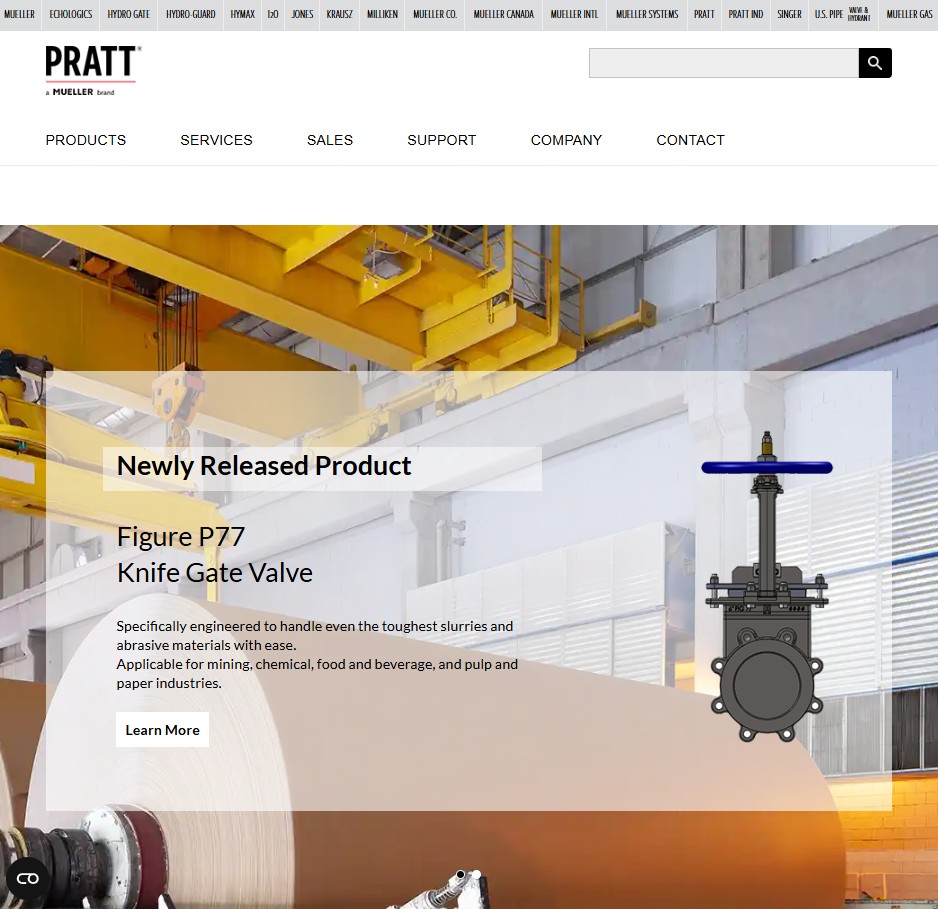 Henry Pratt Company website preview